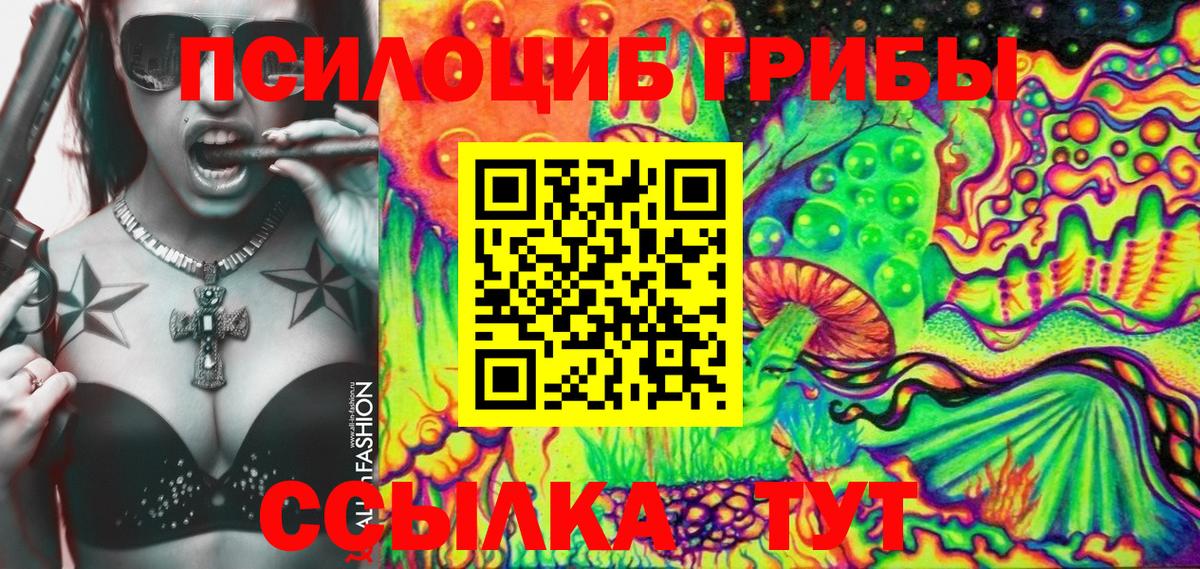 Ессентуки  Галлюциногенные грибы Psilocybine cubensis  Вход с VPN 