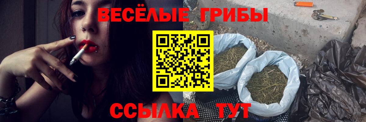 Галлюциногенные грибы MAGIC MUSHROOMS Ессентуки